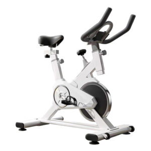 Indoor Spinning Exercise Bike (White)