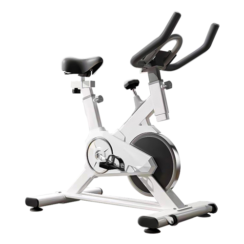 Indoor Spinning Exercise Bike (White)