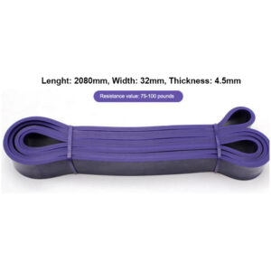 Rubber Resistance Loops (Purple)