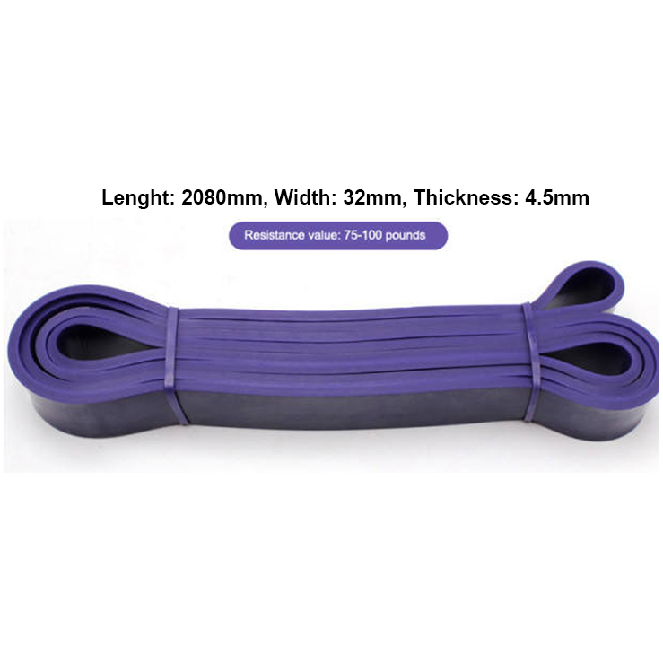 Rubber Resistance Loops (Purple)